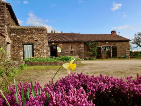 Gîte écoresponsable avec 4 chambres, terrasse et activités, proche LPO, chauffage au sol - FR-1-426-486